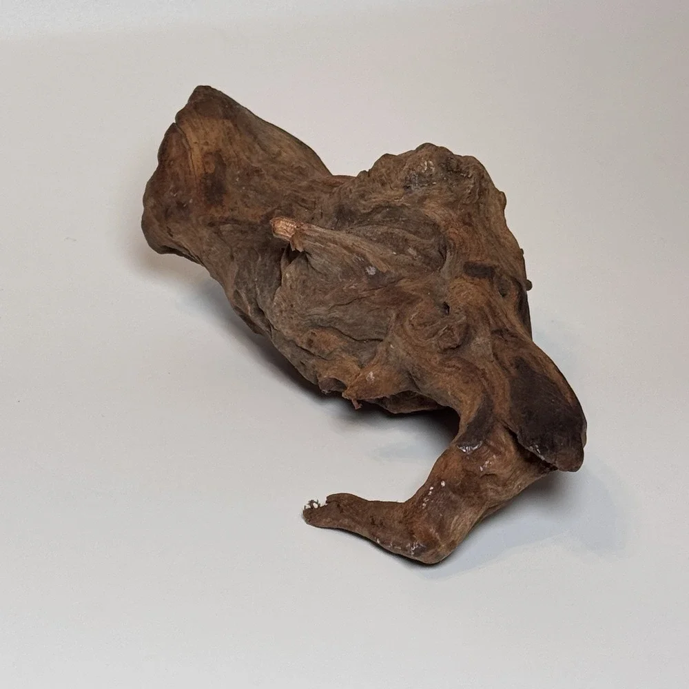 Natural Driftwood Root Sculpture Aquarium Aquascape Terrarium Wood 9.5
